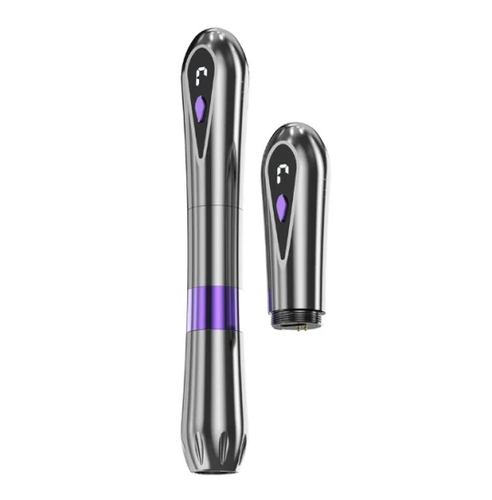 Nouveau stylo de tatouage sans fil à double batterie Galaxy Professional de nouvelle conception